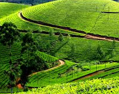 Ooty-Places